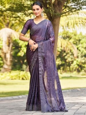 Satrani Beads and Stones Pure Georgette Chanderi Saree