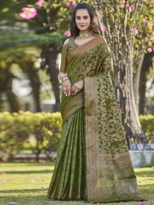 Satrani Woven Design Zari Organza Banarasi Saree