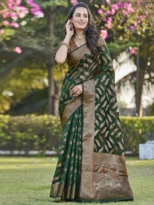 Satrani Woven Design Zari Organza Banarasi Saree